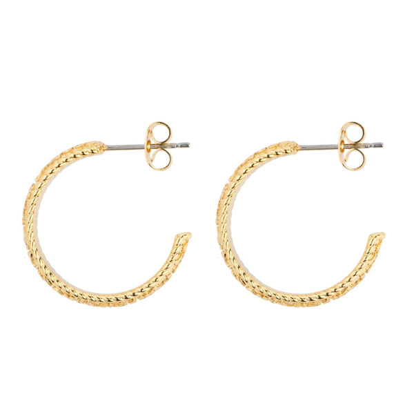 Hoop Earrings - Gold Plated